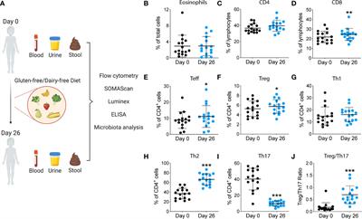 Immunological Impact of a Gluten-Free Dairy-Free Diet in Children With Kidney Disease: A Feasibility Study